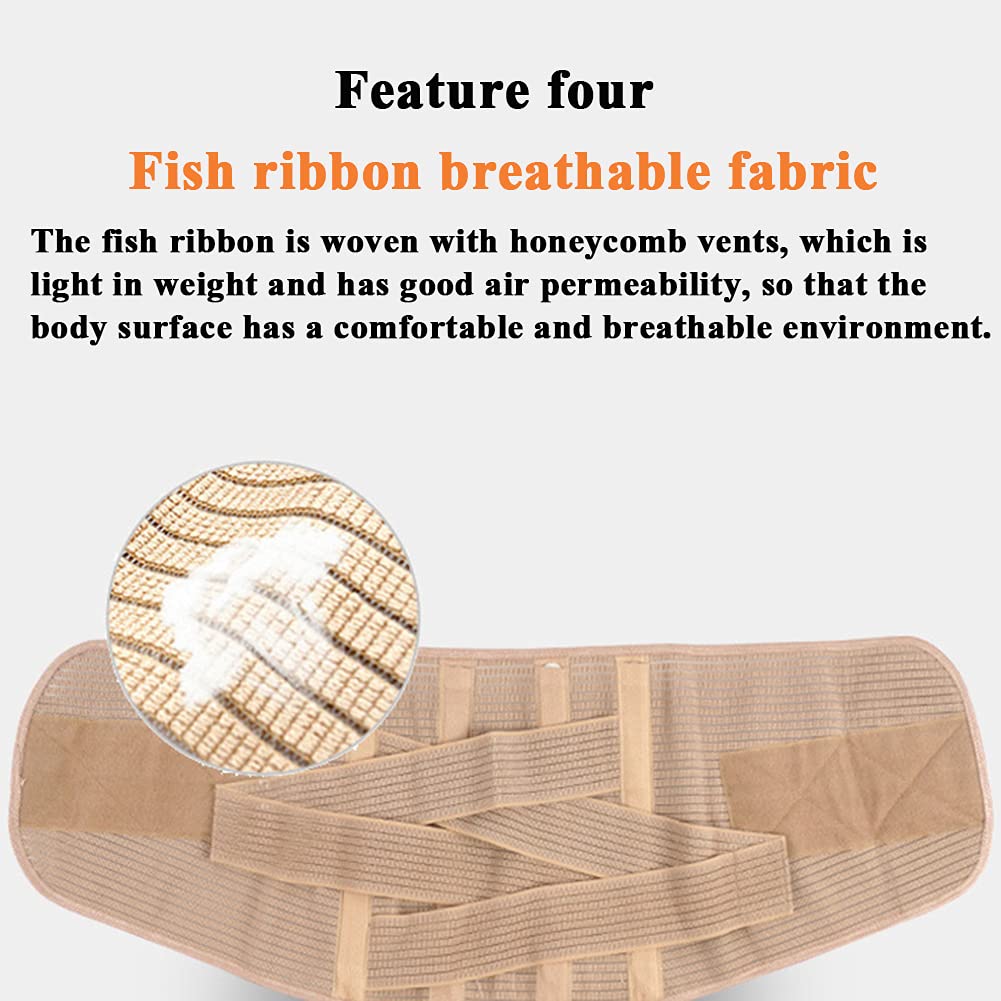 Lumbar Back Brace Correas traseras ajustables Cinturón de soporte Deporte Entrenamiento Faja Cinturón Corrector de postura, Alivio del dolor de cintura Diseño transpirable Se adapta a Hombres Mujeres