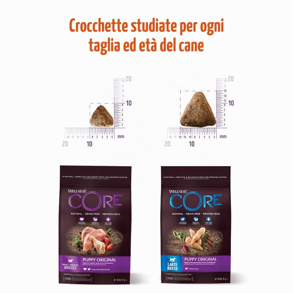 Wellness CORE Cucciolo 10 kg, Pollo & Tacchino – Crocchette Per Cani | Per Cuccioli Piccoli & Medi, Senza cereali, Naturale, Ipoallergenico, Ricco di Proteine e Carne,per Occhi e Cervello