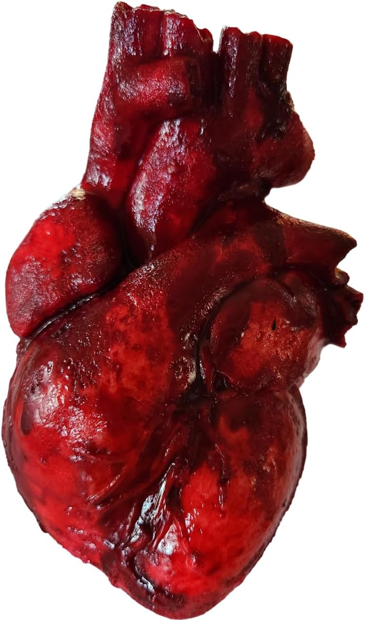 Life size Realistic Bloody cut out Anatomical Heart prop by Dead Head Props, Halloween prop, Horror prop decoration
