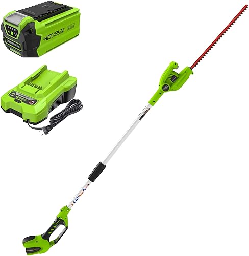 Miniatura 1 de Greenworks Cortasetos de poste inalámbrico de 40 V 20 pulgadas, batería de 2.0 Ah y cargador incluidos