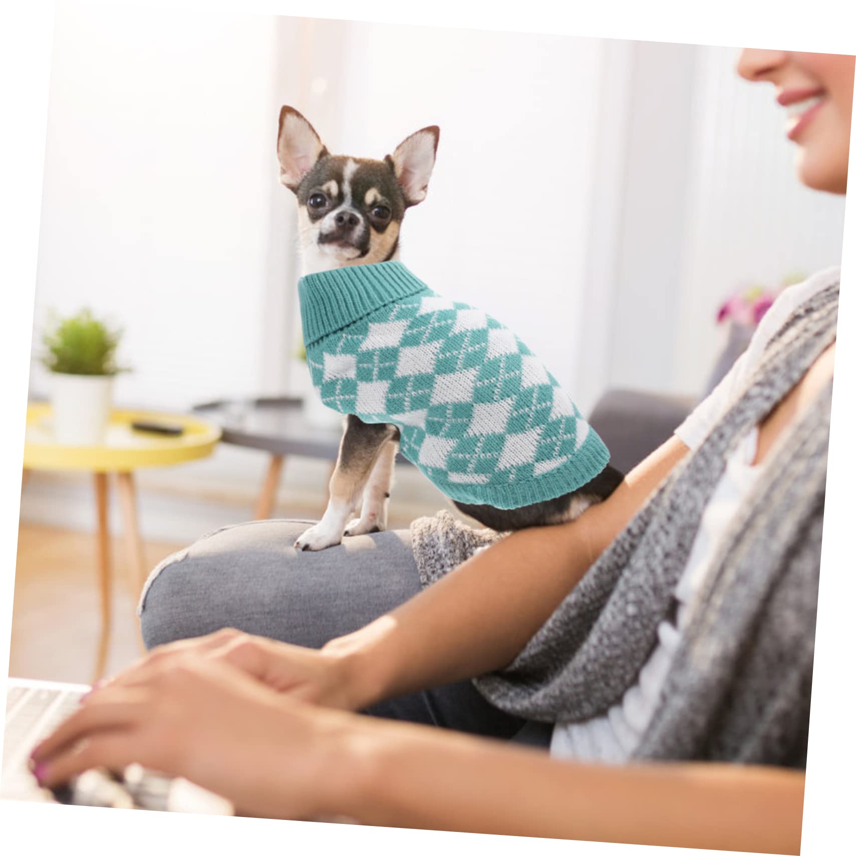 ABOOFAN 5stücke Adorable Hundepullover Aus Warmem Material Für Haustiere Kuscheliger Rollkragen Sweater Für Herbst Und Winter Geeignet Für Kleine Bis Große Hunde Und Katzen