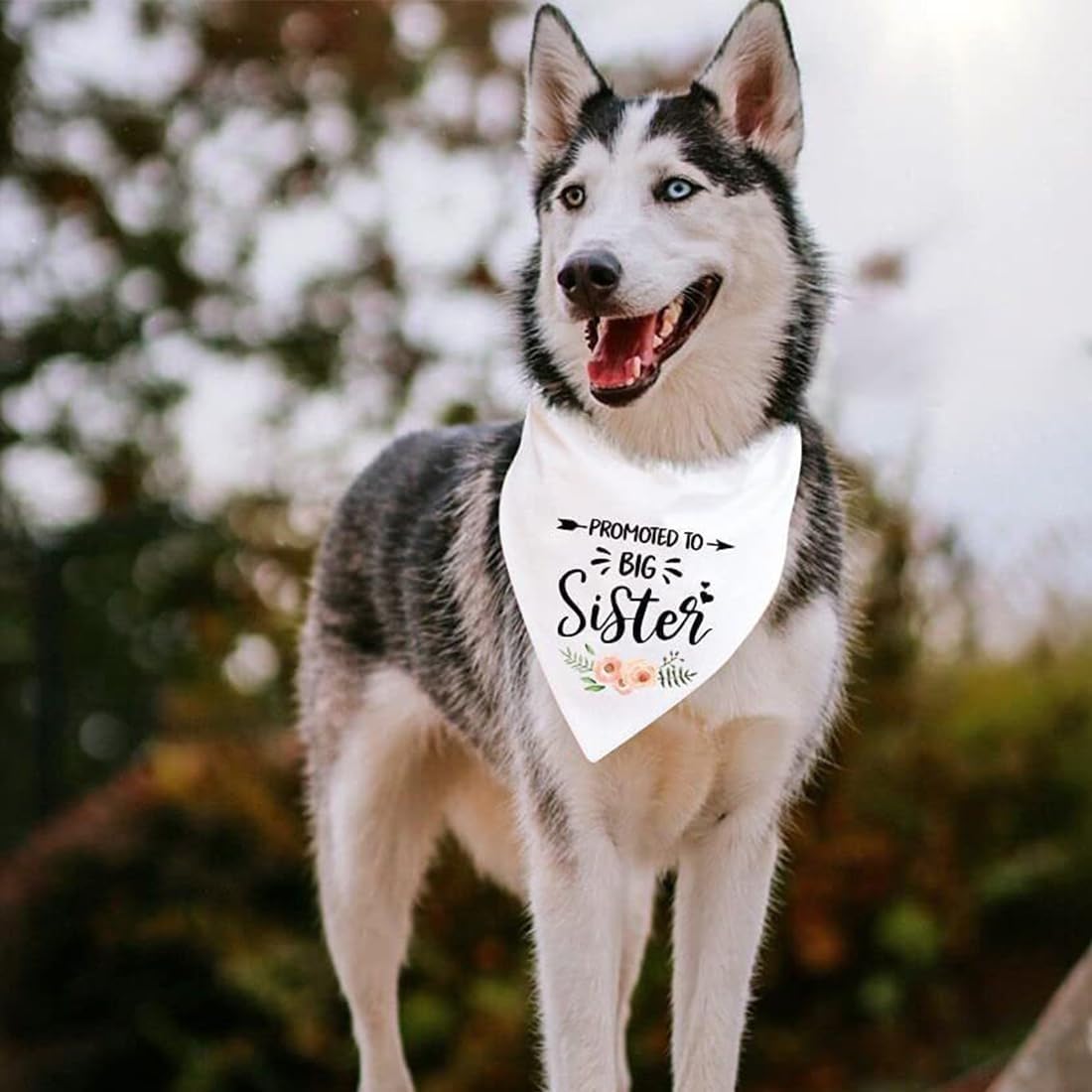 Promotion Bandana to be the Big Sister of Dogs – Ideal for Weddings with a Flower Design – Triangle Scarf for Pets, Perfect Accessory of Collars for Dogs 4
