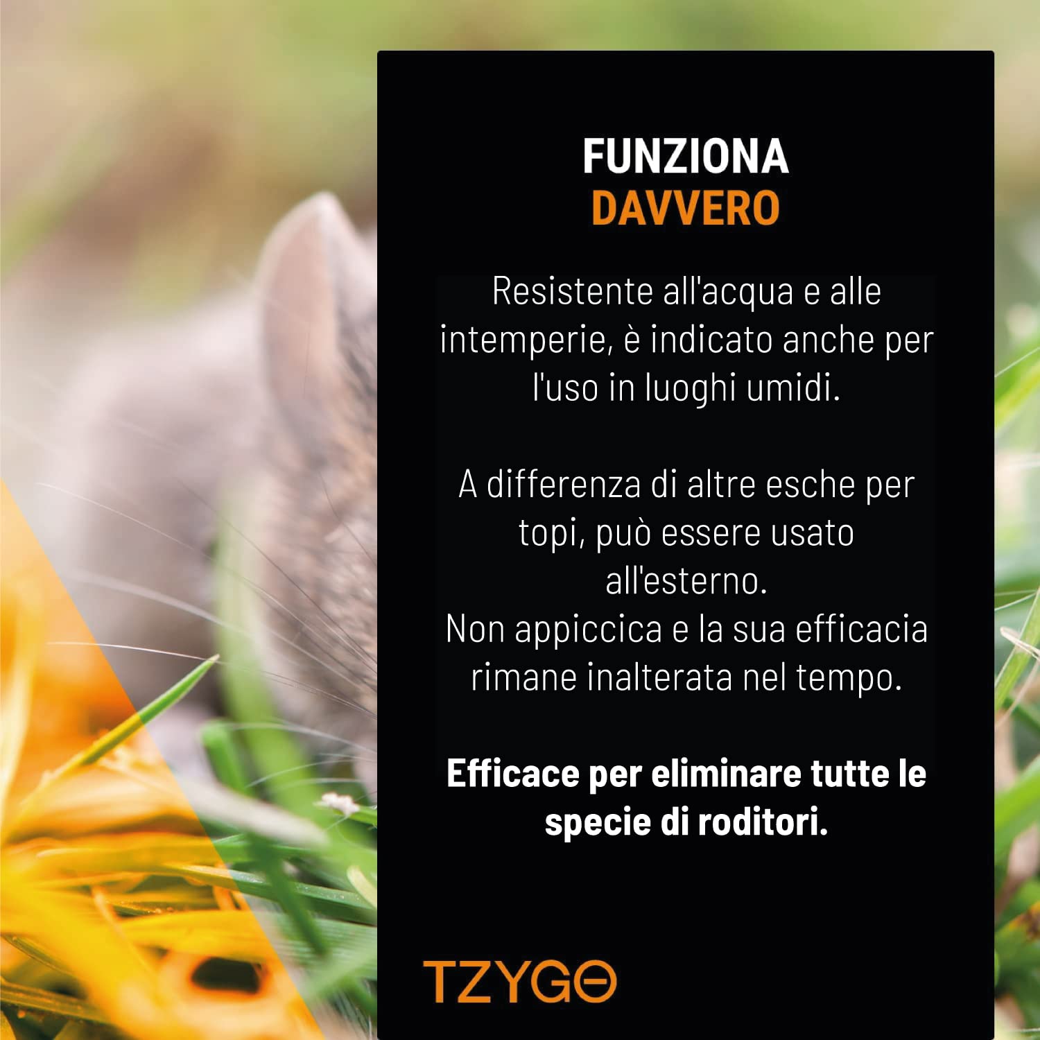 Rat Tap | Attrattivo per Topi |Attrattivo per Roditori alla Nocciola | Non Tossico | 1 Barattolo 20 PCS