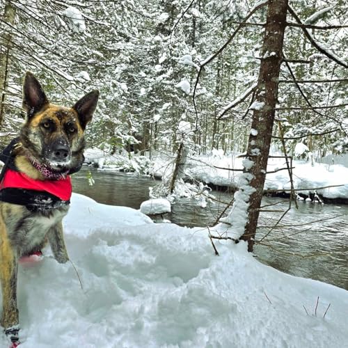 My Winter Trails, plus ski resorts to explore in Northern Michigan (Dec. 20-21, 2025)