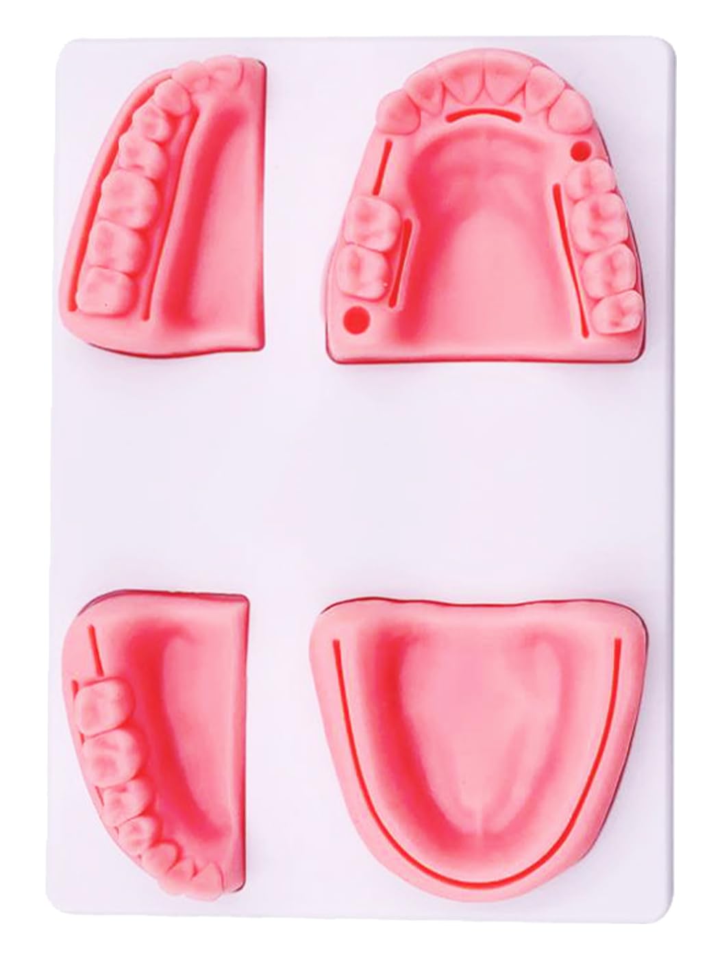 Amazon.co.jp: KITAX 縫合練習キット 歯科 模型 4種セット 繰り返し 