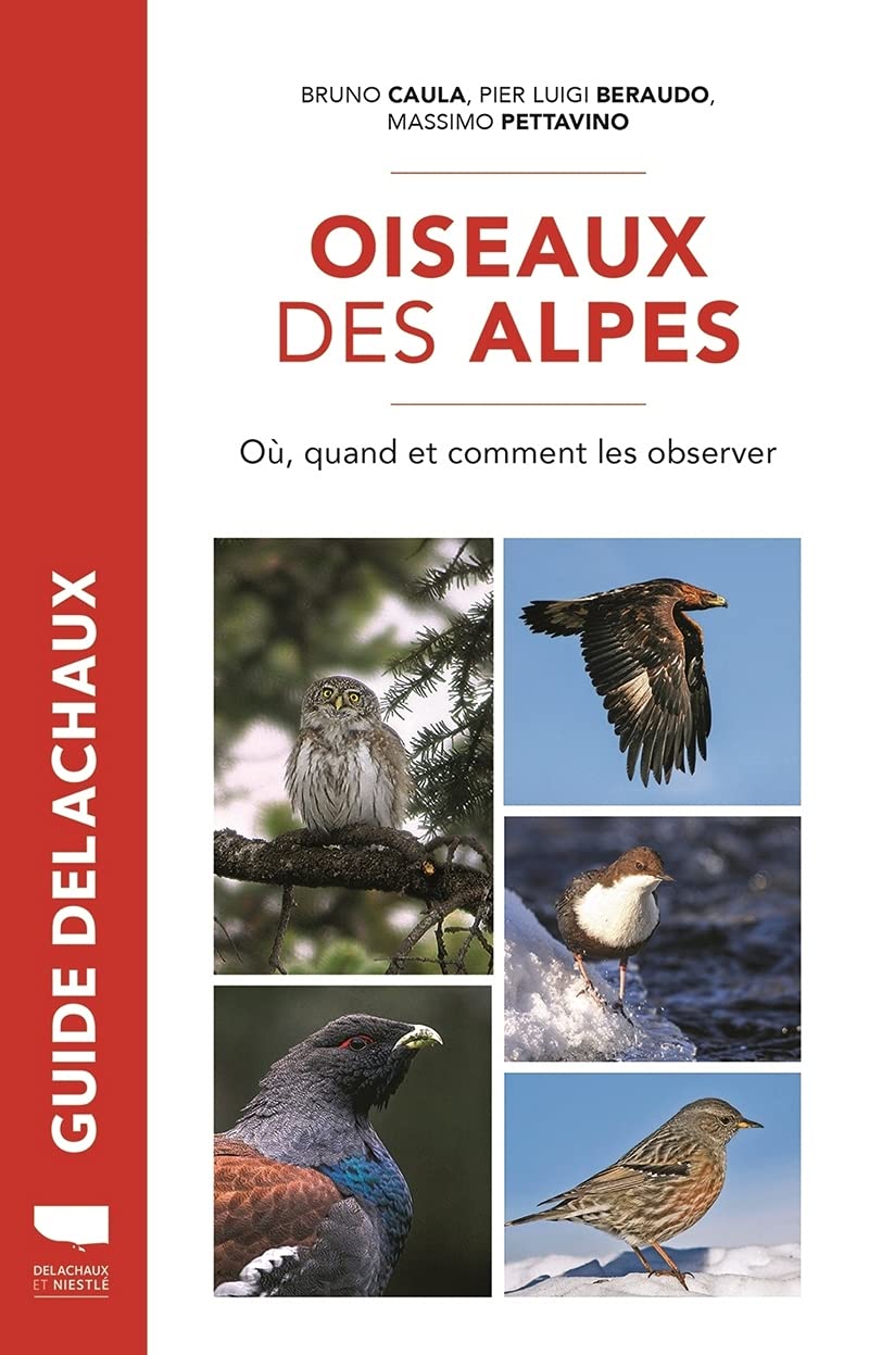 Oiseaux des Alpes: Où, quand, comment les observer