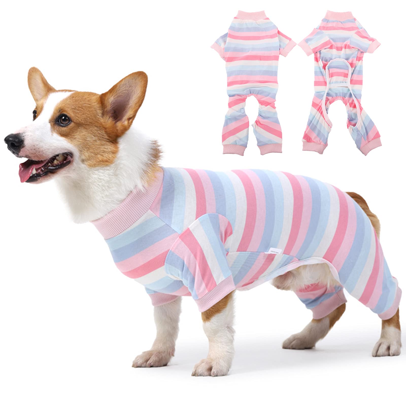 How Long After Neutering Is Dog Calm