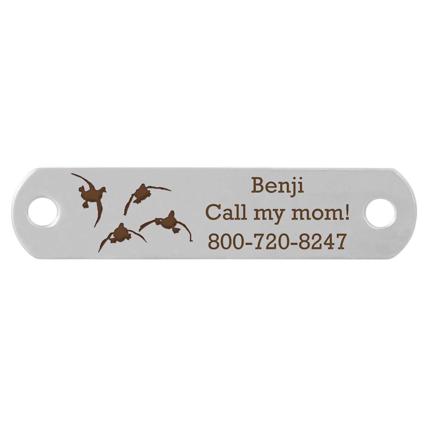 dogIDs Rivet-On Dog Collar Name Plate with Ducks Landing Design - Stainless Steel - Fits 1 Inch Wide Collar