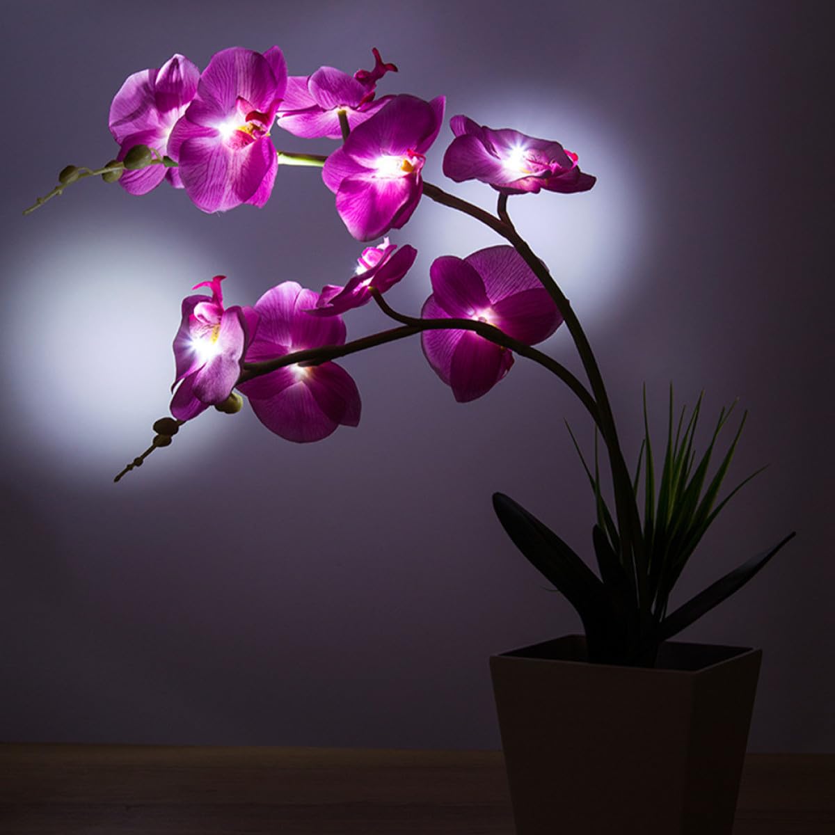LED Orchideen Blumenlicht mit 9 LEDs, Faltbaren Zweigen, Kunststoff