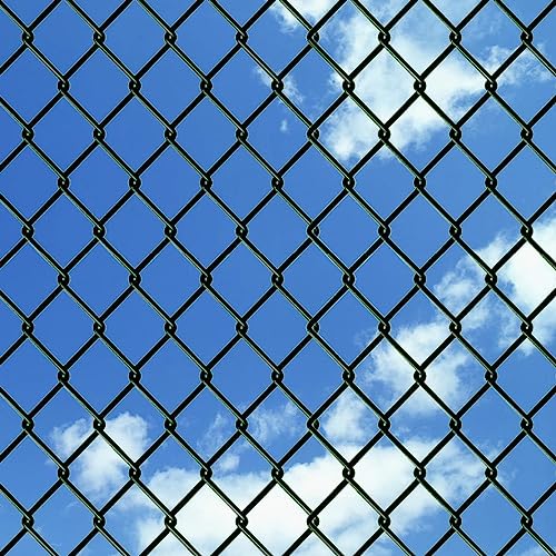 Clôture verte à maillons de chaîne pour préserver l'intimité et stopper les intrusions
