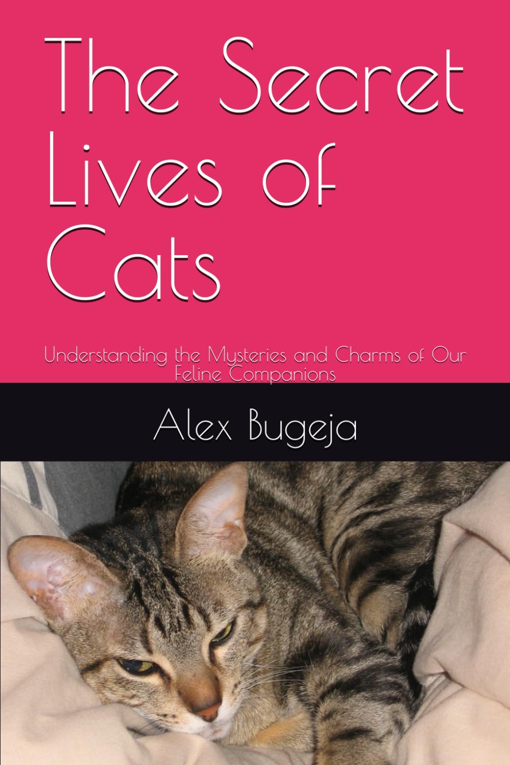 The Secret Lives of Cats: Understanding the Mysteries and Charms of Our Feline Companions