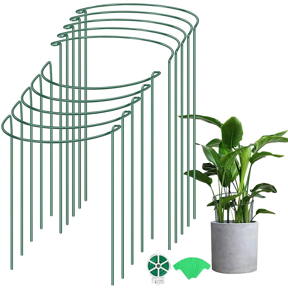 JARDINIÈRE)CADRE 'ESCALADE POUR Plantes Support De Plantes Surélevé