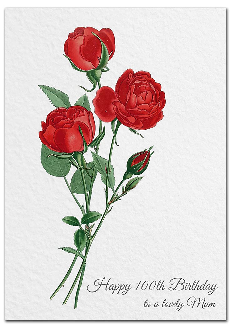 Extra Large Mum 100th Birthday Card - XL Big thick A4 size - Special Age Year Greeting Her Women Female - Beautiful Art Flower Red Rose Watercolour - Nice Huge Happy Wishes UK Eco-Friendly