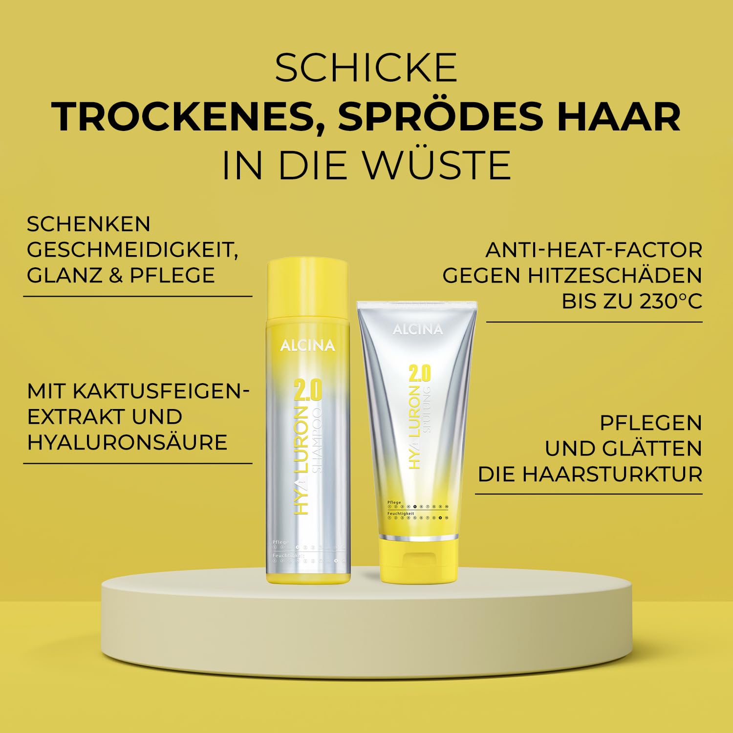 ALCINA Hyaluron 2.0 Haarpflege Set - Shampoo (250ml) & Spülung (200ml) für trockene Haare - Glanz & Geschmeidigkeit - verhindert Hitzeschäden bis zu 230°C - mit Hyaluronsäure & Kaktusfeigenextrakt