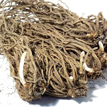 Amazon アスパラガス 素掘り苗 ウェルカム 5株セット グリーンアスパラ 野菜