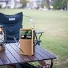 Emergency Pocket Radio FM AM SW, Best Reception Effect, Battery Operated, Portable Speaker Radio, Rechargeable with HD Display, Suitable for Indoor and Outdoor Walking, Jogging, Gym Use Brown