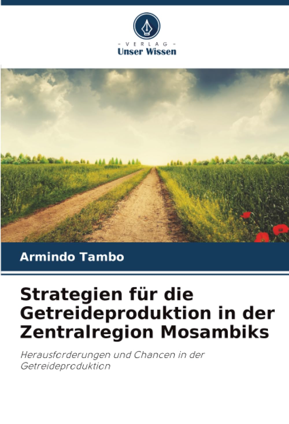 Strategien für die Getreideproduktion in der Zentralregion Mosambiks: Herausforderungen und Chancen in der Getreideproduktion