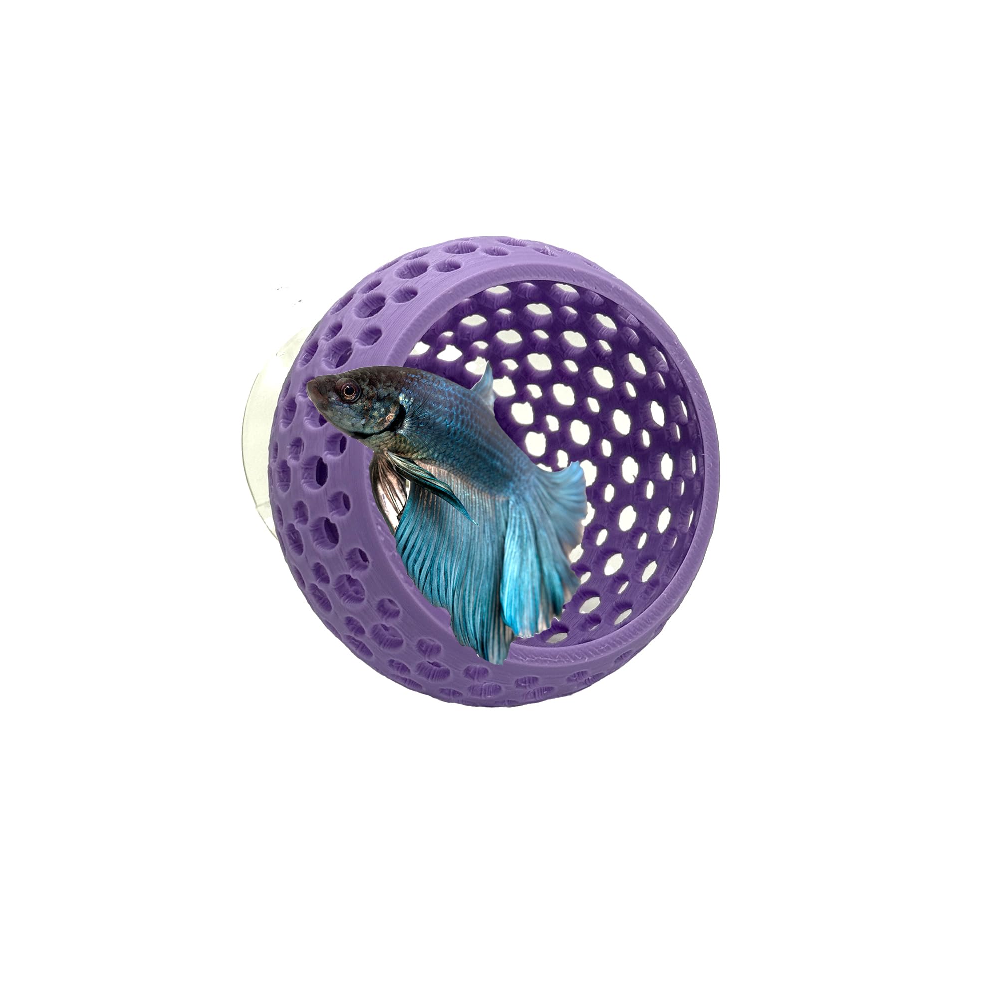 CTWPets Betta Bulb Hide 2.0, Betta Bed &amp; Aquarium Cave, Lavender Bliss