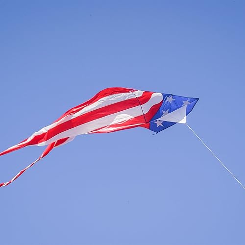 Miniatura 6 de In the Breeze Cometa patriótica Delta con colas fluidas de 19-12 pies