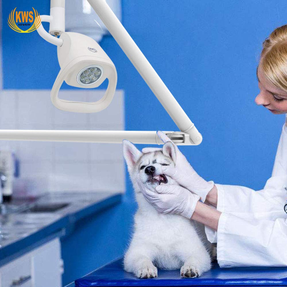Ścienna Wisząca Chirurgiczna, Stomatologiczna Wisząca LED Chirurgiczna Lampa Lekarska Bezcieniowa Lampa Ścienna Stomatologia Otorynolaryngologia Chirurgia Medyczna Lampa kosmetyczna.