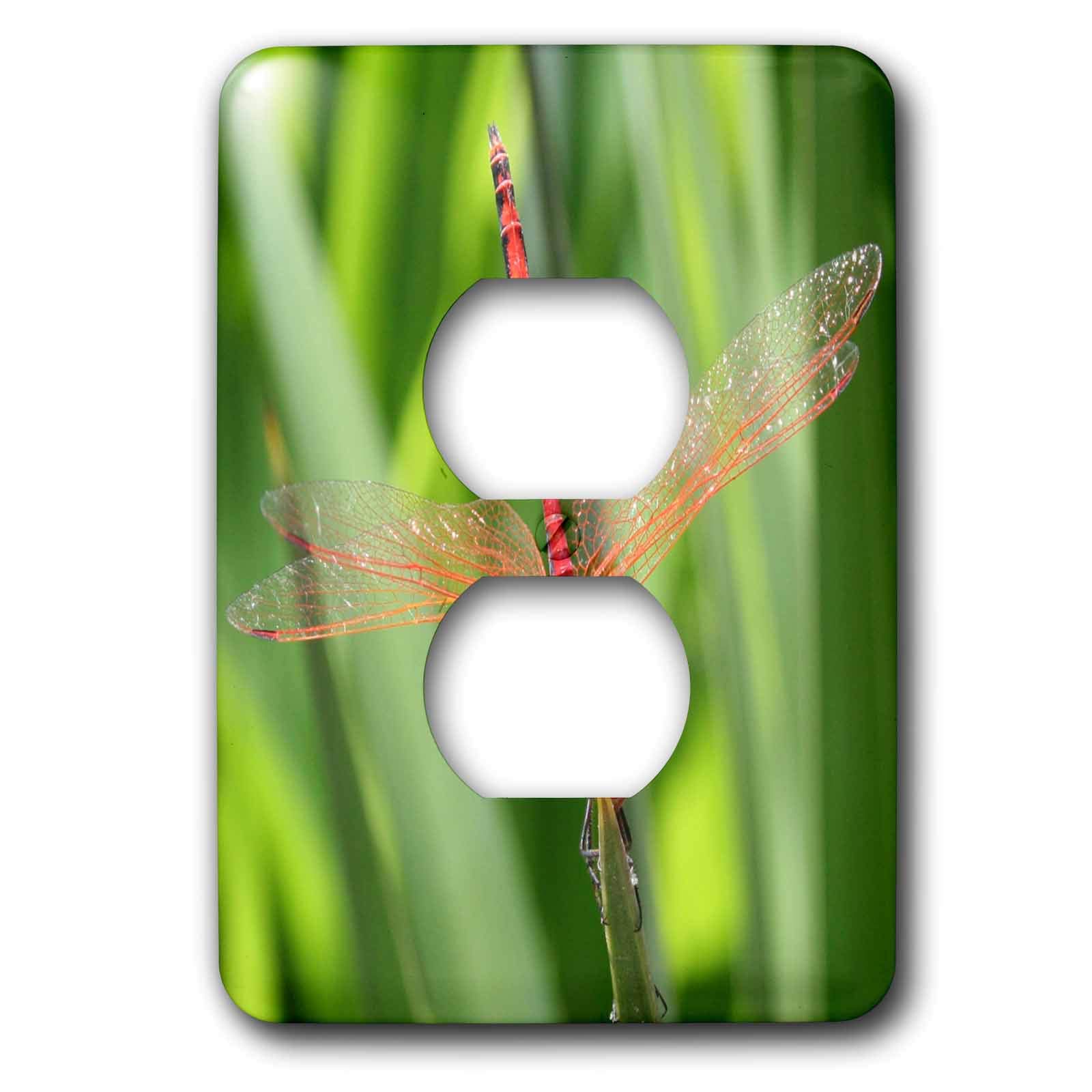 Plaque de finition couvercle de prise de prise insectes libellule 3dRose