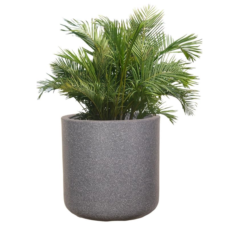 See full amazon price history chart for Gardens Indoor & Outdoor Plastic Marble Look Malta Pot | Flower Pot | Plant Container for Home/Office/Garden Dcor - (Color : Gray/Granite, Size : 9.5 Inches) - Set of 1 Gardens Indoor & Outdoor Plastic Marble Look Malta Pot | Flower Pot | Plant Container for Home/Office/Garden Dcor - (Color : Gray/Granite, Size : 9.5 Inches) - Set of 1 (B0CZTZDDM8) Amazon Price History, Amazon Price Tracker