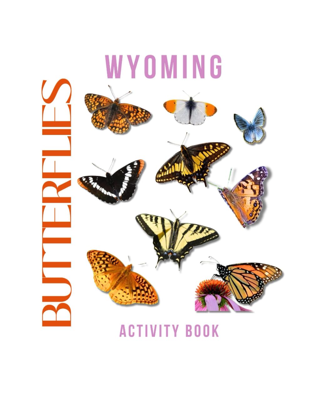 Butterflies of Wyoming Activity Book: A Young Explorer's Field Guide to the Winged Wonders of Wyoming (Wyoming Nature Explorer Series)