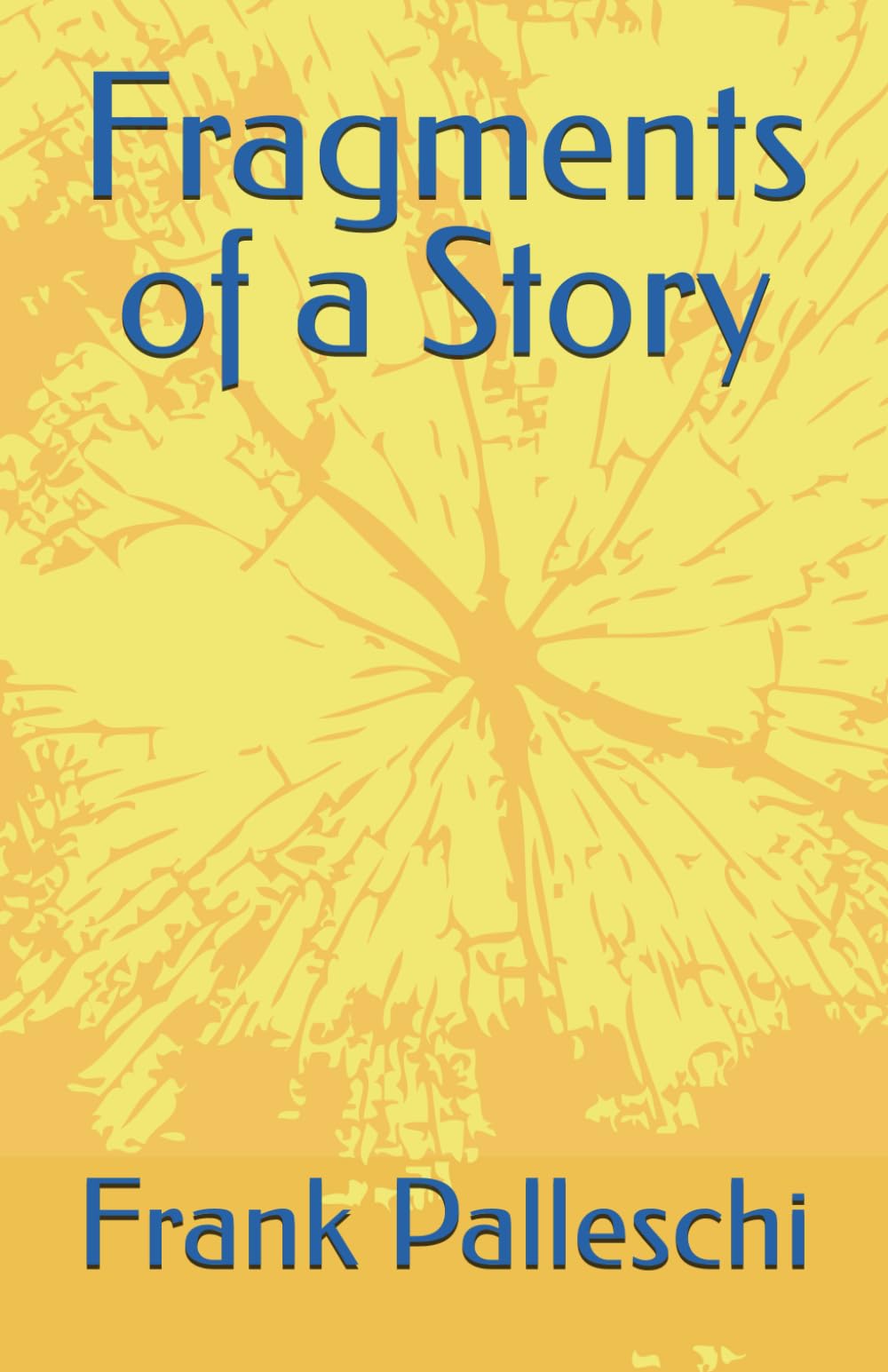 Fragments of a Story