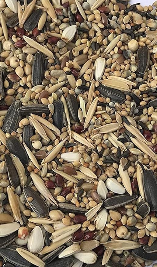 Image of R.S. Birds & Foxtail Millet Seed for Bird Food |Cockatiel & African Lovebird Bird Food | Daily Bird Feed Seed Mix 500gm