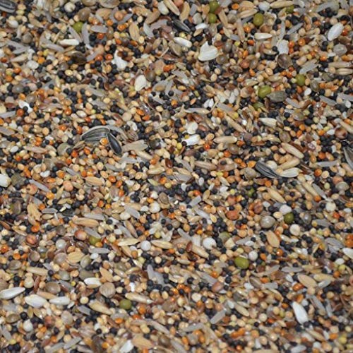 Eurital Sämereien Lockfutter 5 kg Unkrautsamen für Tauben und Vögel