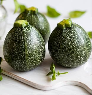 Round Zucchini Squash Seeds – Non-GMO, Heirloom, Unique Compact Shape, Ideal for Stuffing & Grilling, Easy to Grow in Gardens or Containers. (1 Ounce)