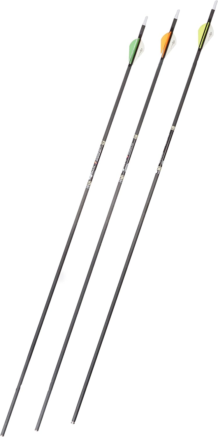 Gold Tip Ultralight Entrada 300 Arrows with 2-Inch HP Vanes (72 Count)