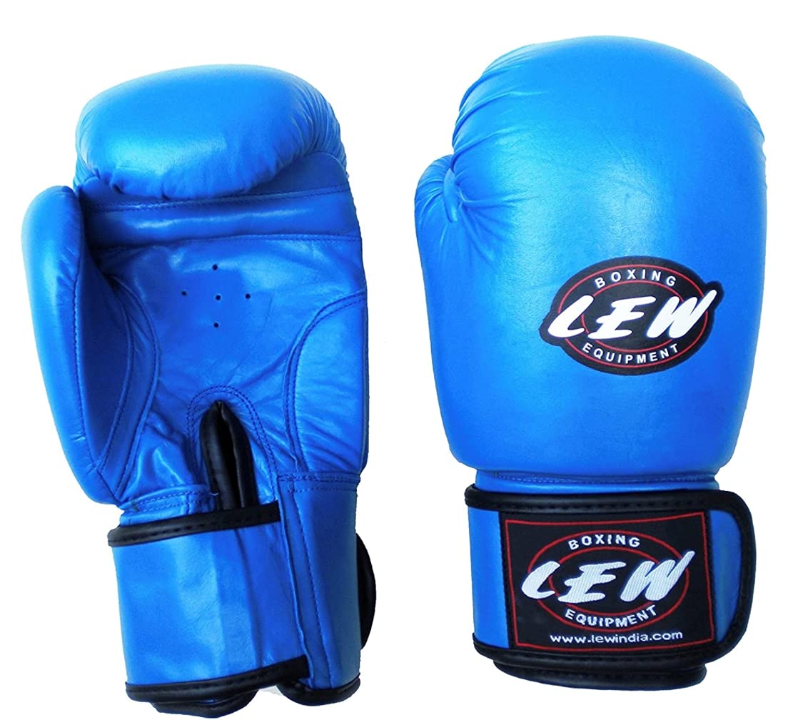 LEW Competition/Safe Pro Fight Boxing Gloves (B00OBES0J4) Amazon Price History, Amazon Price Tracker