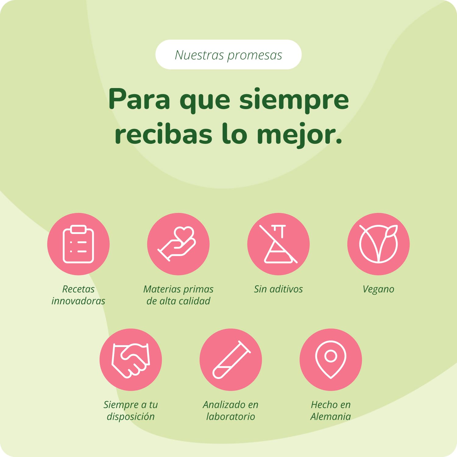 Vegavero Enzimas Digestivas | 7 Enzimas + Lactasa | 180 Cápsulas Entéricas