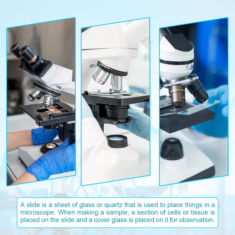 1 Packs 1mm Thickness Cavity Glass Single Concave Microscope Glass Slides Reusable Laboratory Blank Sample (7110)