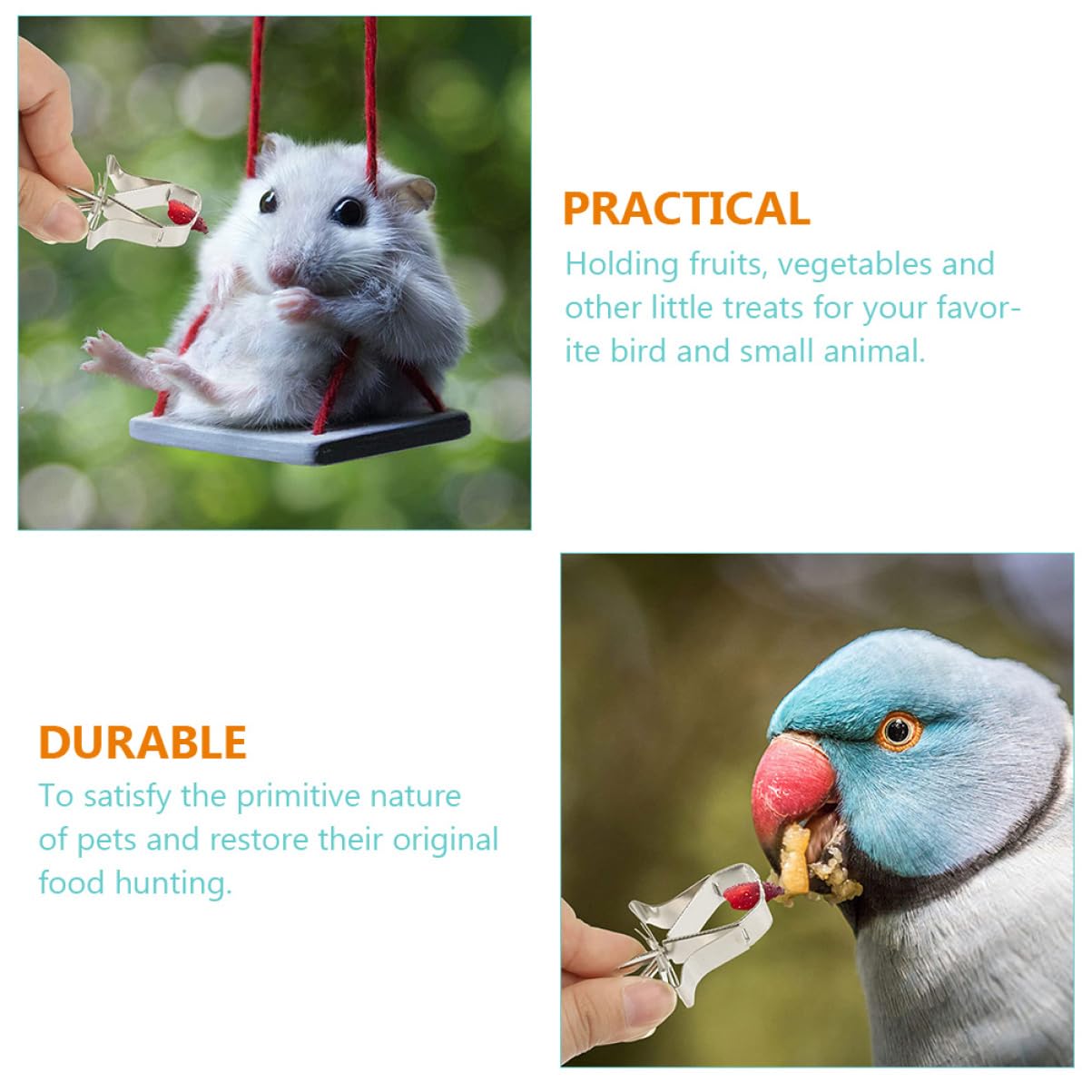 VANZACK 30piezas Clips De Fruta para Pájaros Accesorios De Alimentación para Jaulas Soporte De Acero Inoxidable para Comida De Aves y Pequeños Roedores