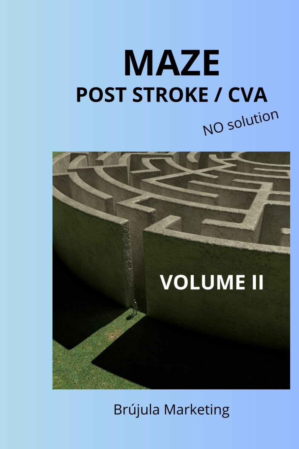 MAZE POST STROKE / CVA NO solution: VOLUME II