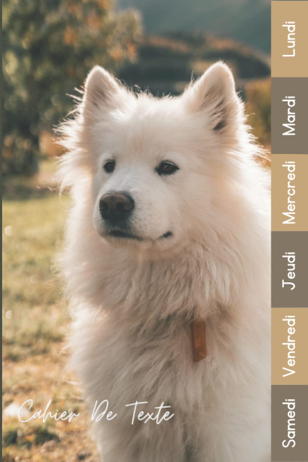 Cahier De Texte: 2021 2022 Chien Pour Filles Et Garçons Avec Un Intérieur Soigné Pratique Pour Toutes Les Matières (French Edition)