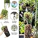 SkyPots — Three Pack, Pot Hanger Kits + Accessories - Hang and Connect Your Clay Pots, Stainless Steel - Indoor Outdoor - Connectable Hanging Planter Vertical Garden w/Drainage for Healthy Plants