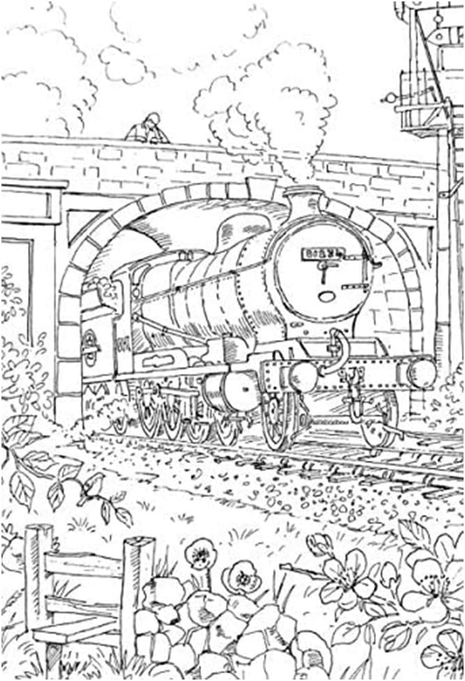Sixstore Colour Therapy Relaxing Anti-Stress Adult Colouring Books - Set of 4 -Choose Your Set (Set 12) - Image 3