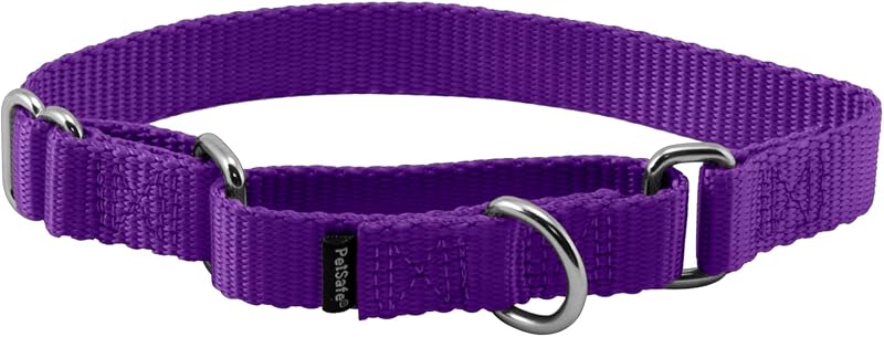 Coleira Martingale para Cães PetSafe Deep Purple 1,9 cm Tamanho Pequeno