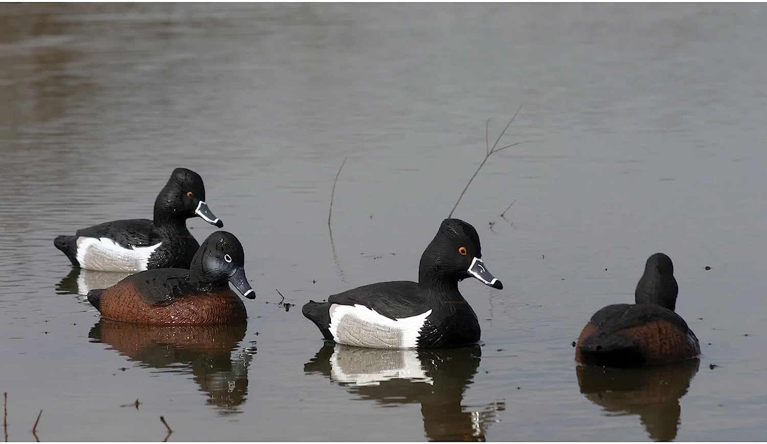 Higdon Outdoors Standard-Ringneck Lockvögel, mit Schaumstoff gefüllt Jagd, Mehrfarbig, Einheitsgröße