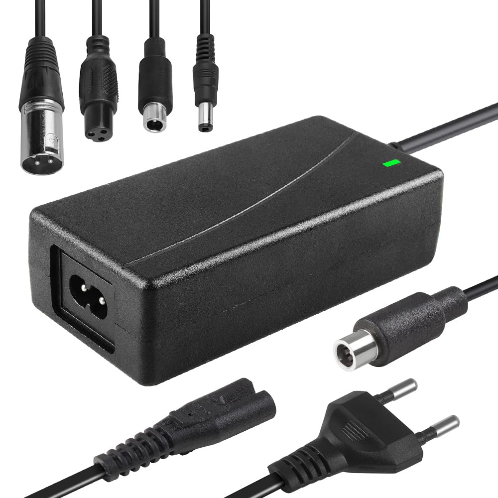 Caricatore Monopattino Elettrico, 42V 2A AC Caricatore Hoverboard con 4 connessioni, Caricabatterie Adattatore di Alimentazione, per Scooter Elettrico, Hoverboard, Bicicletta Elettrica
