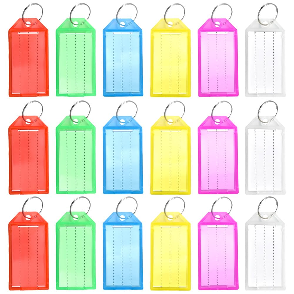 Ruidee 60Pcs Key Tags with Labels 6 Colors Plastic Key Fobs with Split Rings Keychain Tag with Writable Paper for Luggage,Identifier ID (YBQ/6 Colour)