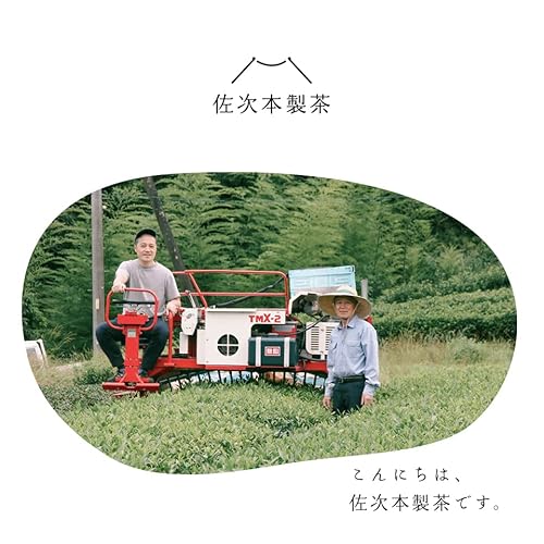 静岡掛川茶 水出し煎茶 緑茶ティーバッグ 125g