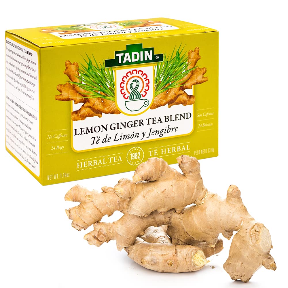 TADIN TEA BAG LEMON GINGER BLEND NAT, 24 Count (Pack of 6)
