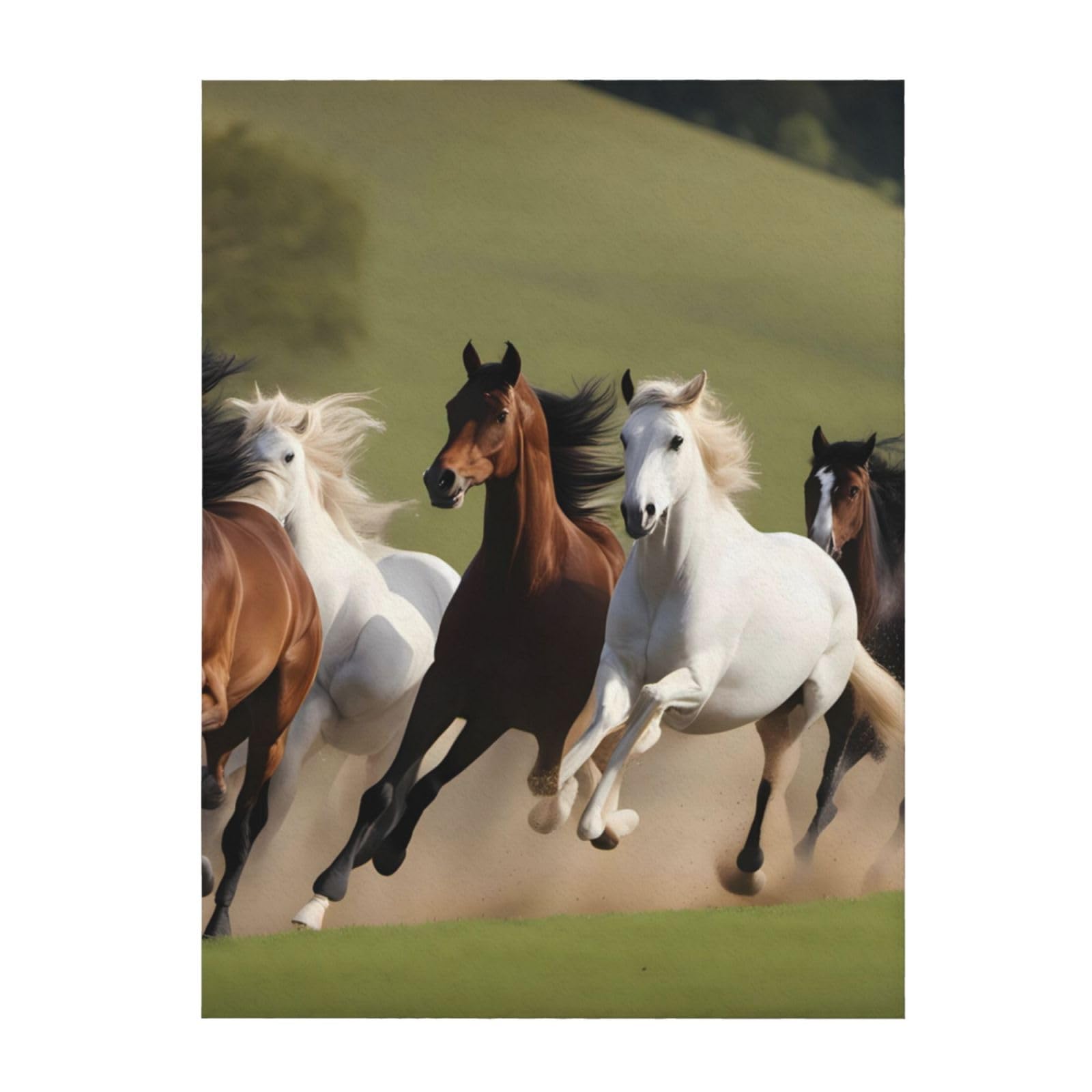 Couverture jeté de canapé et lit plaid imprimé chevaux 152x127 cm