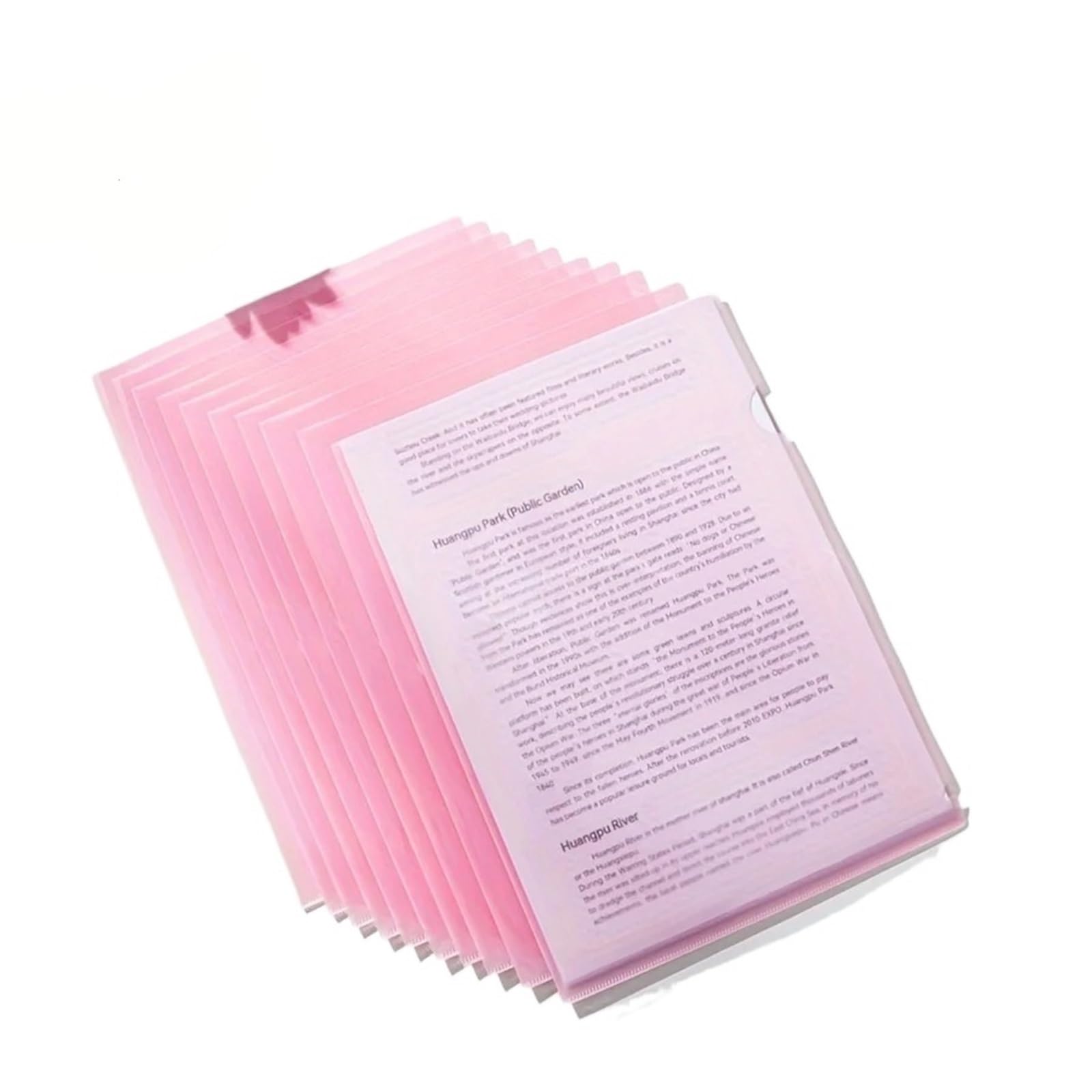 Przezroczysty folder z tworzywa sztucznego, 24 szt. Teczki projektowe A4 w kształcie litery L, wielokolorowy materiał PP(Roze)
