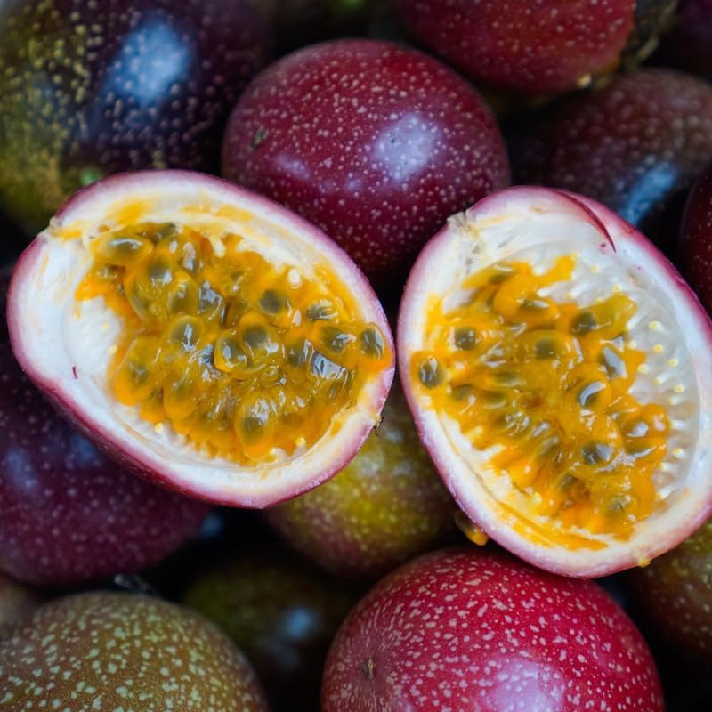 Purple Passion Fruit Tree Live Plant for Planting, Passion Fruit Plant 1 Gallon Pot, Sweet Edible Fruit Tree 24-30" Tall, No Ship to CA