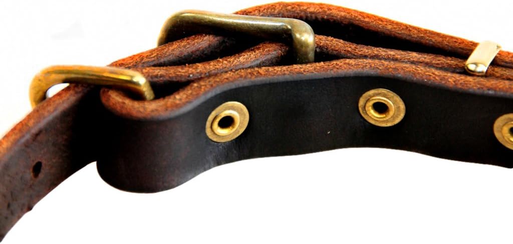 D&T B&B Dog Collar, Brass, 16-Inch to 20-Inch by 1-Inch, Brown